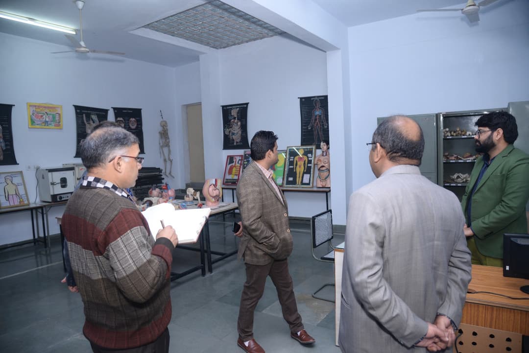 Gallery Image 45